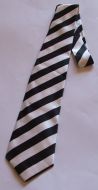 Mens Stripe Ties