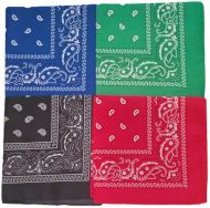 Paisley Print Bandana