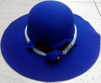 Ladies Floppy Felt Hat