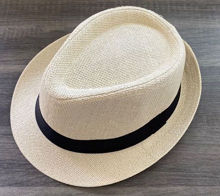 White Panama Hat